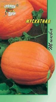 Купить оптом в Ботанике семена Тыква Мускатная УУ бренд Урожай Удачи