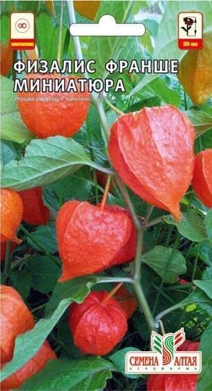 Купить оптом в Ботанике семена Физалис Франше миниатюра СА бренд Семена Алтая