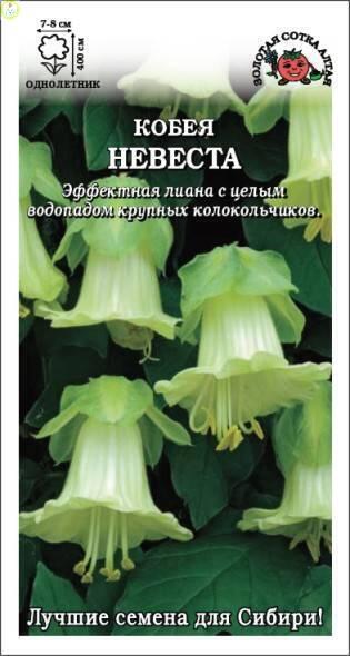 Купить оптом в Ботанике семена Кобея Невеста белая ЗС бренд Золотая сотка