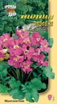 Купить оптом в Ботанике семена Инкарвиллея (Глоксиния) Розовая УУ бренд Урожай Удачи