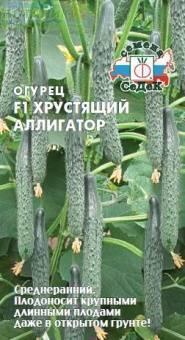 Купить оптом в Ботанике семена Огурец Хрустящий алигатор F1 Сед бренд СеДеК