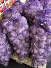 В продажу поступил озимый Чеснок производство РФ