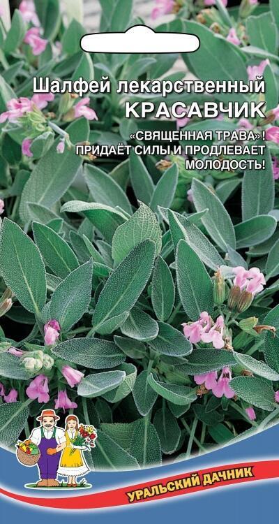 Купить оптом в Ботанике семена Шалфей Красавчик лекарственный УД бренд Уральский дачник
