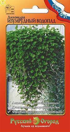 Купить оптом в Ботанике семена Дихондра Изумрудный водопад F1 НК бренд НК