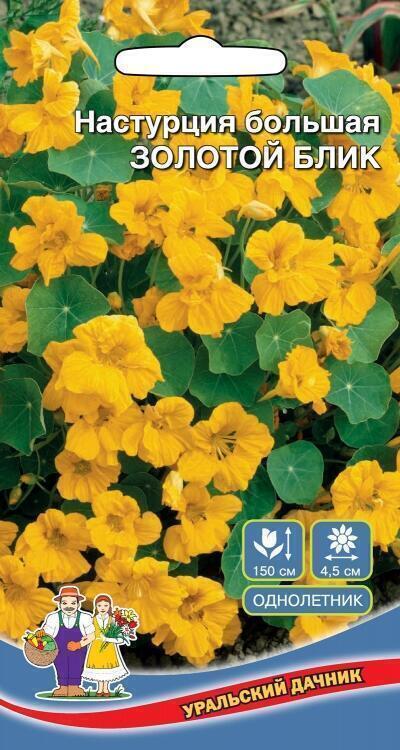 Купить оптом в Ботанике семена Настурция Золотой блик УД бренд Уральский дачник