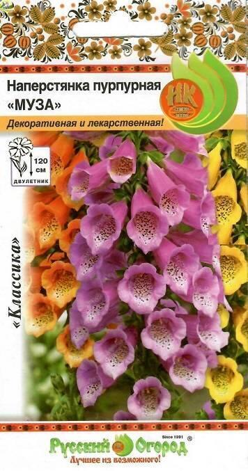 Купить оптом в Ботанике семена Наперстянка Муза пурпурная НК бренд НК