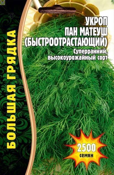 Купить оптом в Ботанике семена Укроп Пан Матеуш Реш бренд Решение, ООО