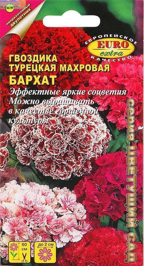 Купить оптом в Ботанике семена Гвоздика турецкая Бархат Аэл бренд Аэлита