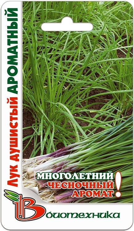 Купить оптом в Ботанике семена Лук душистый Чесночный аромат Био бренд Биотехника