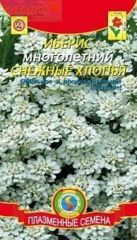 Купить оптом в Ботанике семена Иберис Снежные хлопья Плз бренд Плазмас
