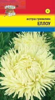 Купить оптом в Ботанике семена Астра Гремлин еллоу УУ бренд Урожай Удачи