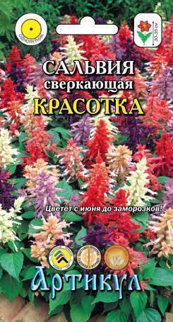 Купить оптом в Ботанике семена Сальвия Красотка сверкающая Арт бренд Артикул