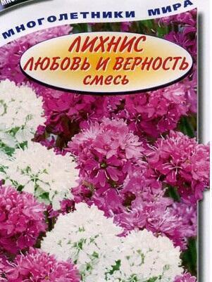 Купить оптом в Ботанике семена Лихнис Любовь и верность Аэл бренд Аэлита