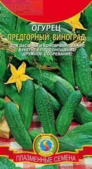 Купить оптом в Ботанике семена Огурец Предгорный виноград Плз бренд Плазмас