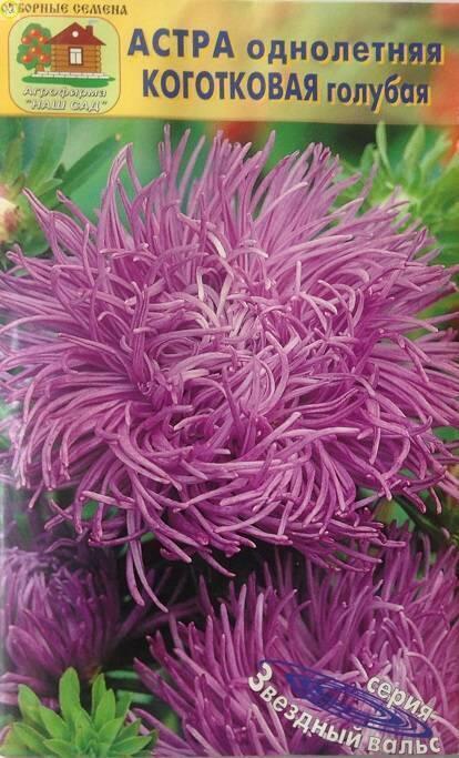 Купить оптом в Ботанике семена Астра Коготковая голубая Наш бренд Наш сад