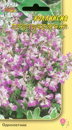 Купить оптом в Ботанике семена Коллинсия Двухцветная УУ бренд Урожай Удачи