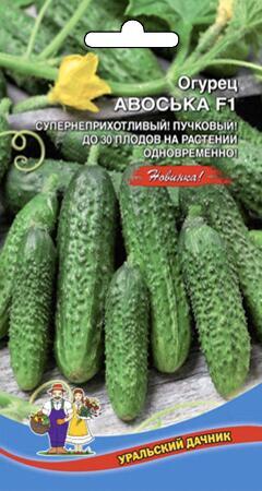 Купить оптом в Ботанике семена Огурец Авоська F1 УД бренд Уральский дачник