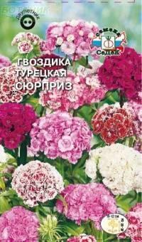 Купить оптом в Ботанике семена Гвоздика турецкая Сюрприз Сед бренд СеДеК