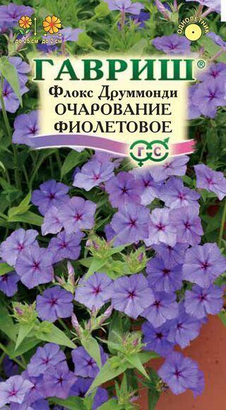 Купить оптом в Ботанике семена Флокс Очарование фиолетовое, друммонда Гав бренд Гавриш