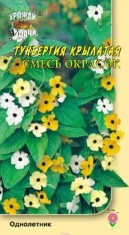 Купить оптом в Ботанике семена Тунбергия Смесь окрасок УУ бренд Урожай Удачи