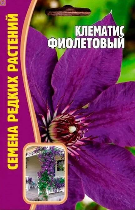 Купить оптом в Ботанике семена Клематис Фиолетовый Реш бренд Решение, ООО