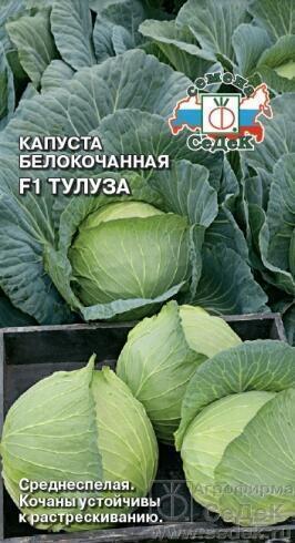 Купить оптом в Ботанике семена Капуста белокочанная Тулуза F1 Сед бренд СеДеК