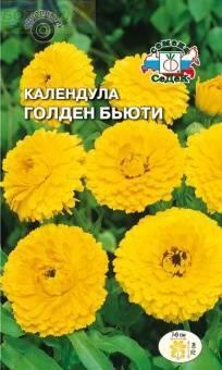 Купить оптом в Ботанике семена Календула Голден Бьюти Сед бренд СеДеК