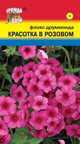 Купить оптом в Ботанике семена Флокс Красотка в розовом УУ бренд Урожай Удачи