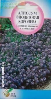 Купить оптом в Ботанике семена Алиссум Фиолетовый королева ССО бренд Сортсемовощ