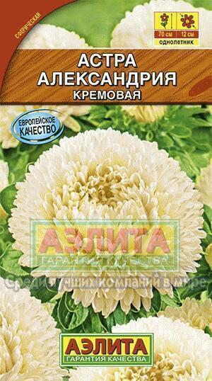 Купить оптом в Ботанике семена Астра Александрия кремовая Аэл бренд Аэлита