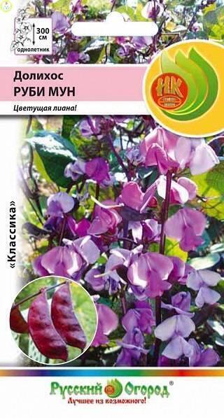 Купить оптом в Ботанике семена Долихос Руби мун НК бренд НК