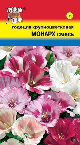 Купить оптом в Ботанике семена Годеция Монарх УУ бренд Урожай Удачи