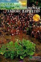 Купить оптом в Ботанике семена Камнеломка Элиотс Вариети Агр бренд Агрико