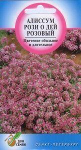 Купить оптом в Ботанике семена Алиссум Рози О Дей ССО бренд Сортсемовощ