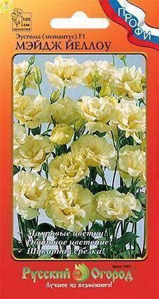 Купить оптом в Ботанике семена Эустома Мэйдж йеллоу F1 НК бренд НК
