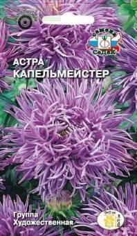 Купить оптом в Ботанике семена Астра Капельмейстер Сед бренд СеДеК