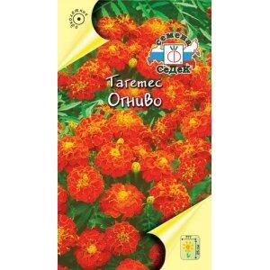 Купить оптом в Ботанике семена Бархатцы Огниво Сед бренд СеДеК