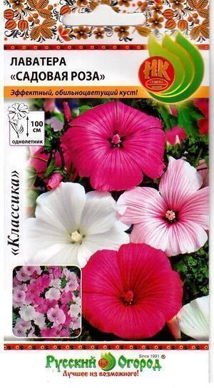 Купить оптом в Ботанике семена Лаватера Садовая роза смесь НК бренд НК