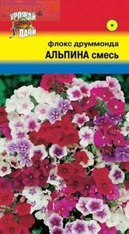 Купить оптом в Ботанике семена Флокс Альпина УУ бренд Урожай Удачи