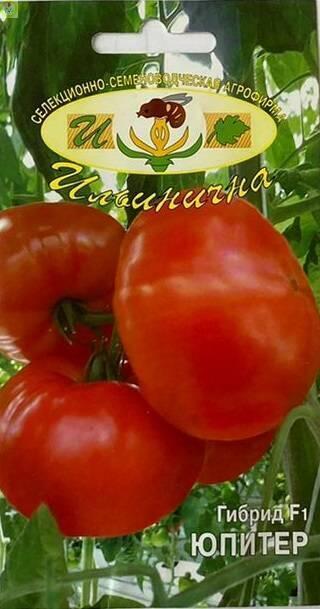 Купить оптом в Ботанике семена Томат Юпитер F1 Иль бренд Ильинична