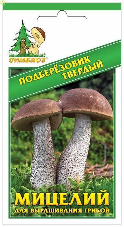 Купить оптом в Ботанике семена Подберезовик твердый Сим бренд НПМЛ СИМБИОЗ