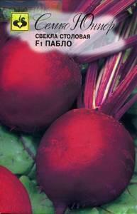 Купить оптом в Ботанике семена Свекла Пабло F1 Сем бренд Семко