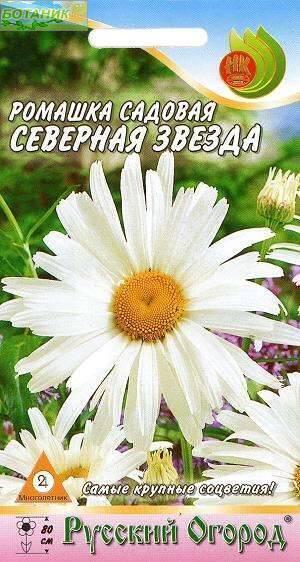 Купить оптом в Ботанике семена Ромашка Северная звезда садовая  НК бренд НК