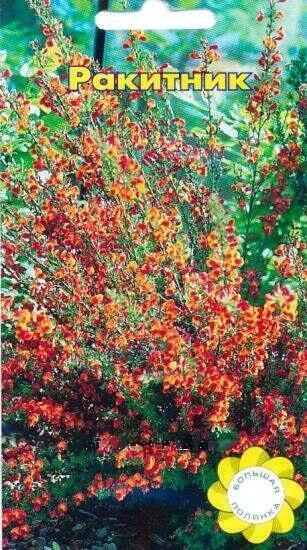 Купить оптом в Ботанике семена Ракитник УУ бренд Урожай Удачи