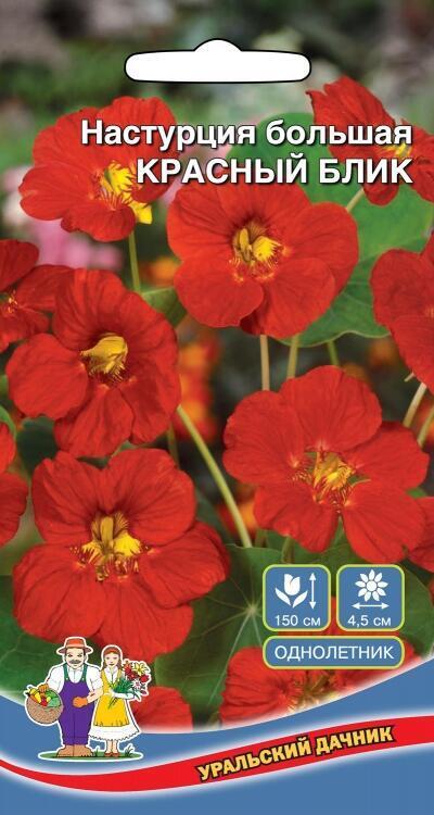 Купить оптом в Ботанике семена Настурция Красный блик УД бренд Уральский дачник