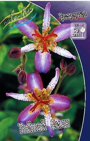 Купить оптом в Ботанике Трициртис Тайпей Силк 1 шт