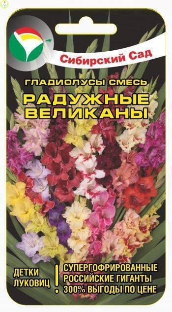 Купить оптом в Ботанике семена Гладиолус Радужные великаны СС бренд Сиб.сад