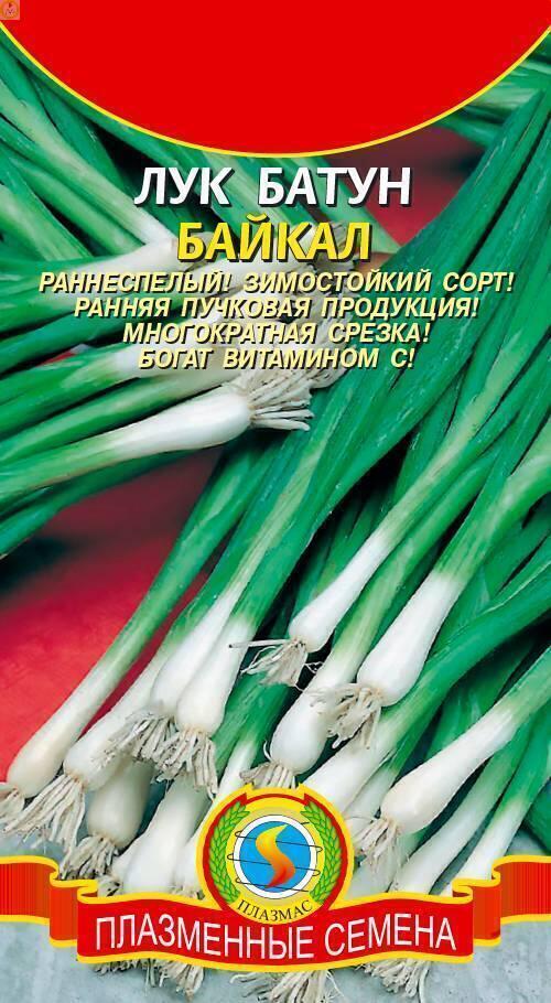 Купить оптом в Ботанике семена Лук батун Байкал Плз бренд Плазмас