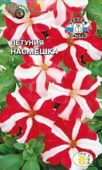 Купить оптом в Ботанике семена Петуния Насмешка F1 Сед бренд СеДеК