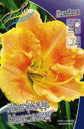 Купить оптом в Ботанике Лилейник Лонгфилдс Мармелад 1шт